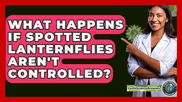 What Happens If Spotted Lanternflies Aren