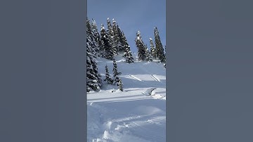 Skidoo takes Polaris line and it ends BAD😬🤷‍♂️