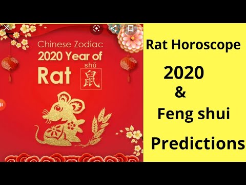 Video: What to expect for the zodiac signs in 2020 Rat