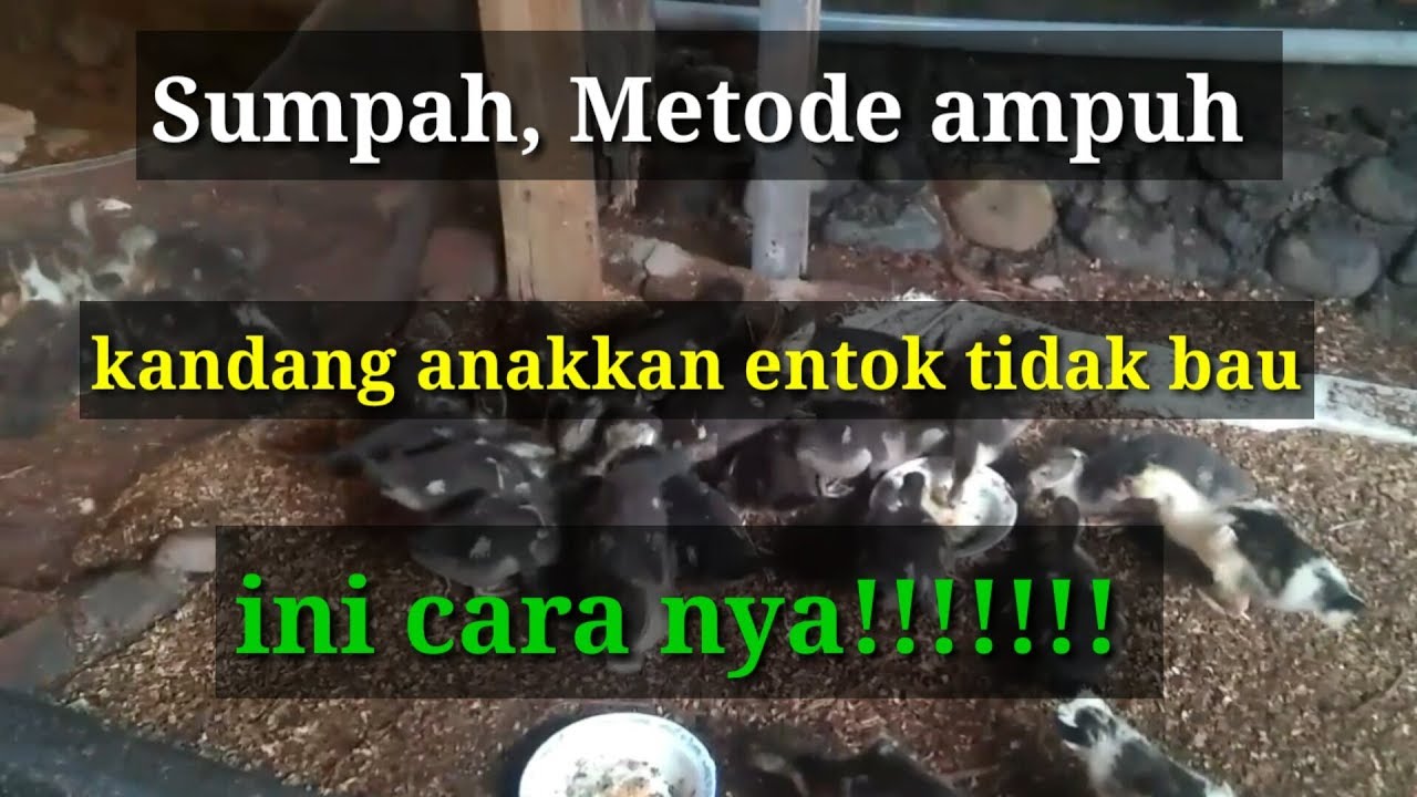 Cara Menyengat Keringat Menghilangkan Bau