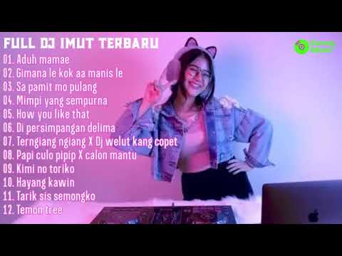 DJ Imut Full Album Terbaru Tiktok Viral 2021