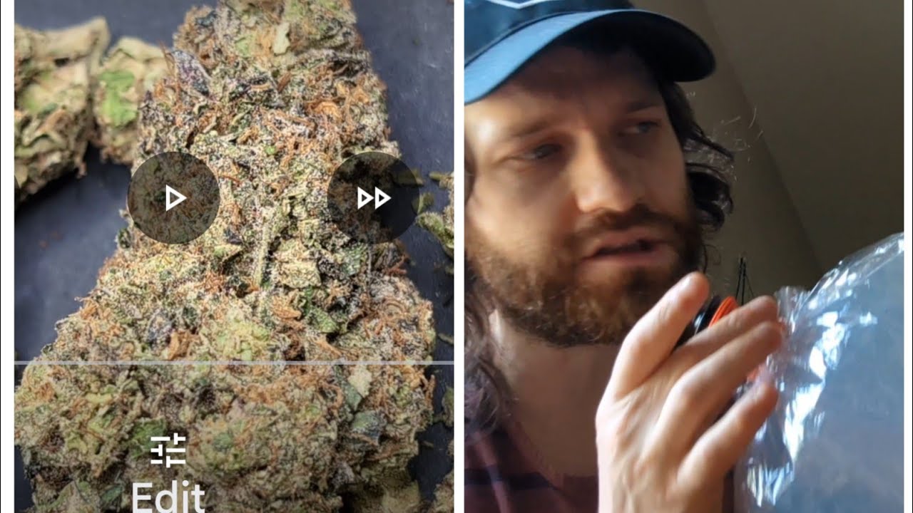 "slurricane" outdoor flower review from thca small buds! 🌀 Balling on a budget