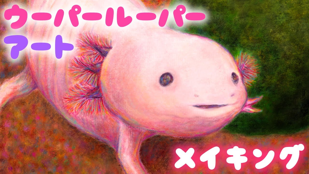 イラストメイキング ちょっとリアルなウーパールーパー Axolotl Illustration Process Procreate Youtube