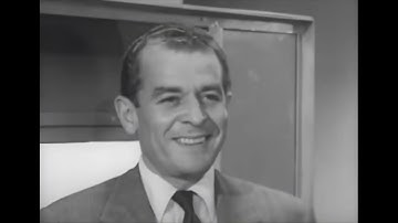 Primate Programming: The 1959 Experiments That Exposed Our Automated Nature