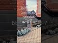 КОВЧЕГ⁉️ИЗ ВАВИЛОНСКИХ КЫРРПЫЧ-ЭЙ⁉️НА САМОМ ДНЕ ГРЕХОВН-ОГО БОЛОТА⁉️БЛАГОВЕСТ ⁉️👇⌛