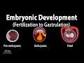 Embryology: from Fertilization to Gastrulation, Animation