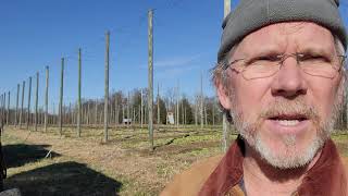 Dave Volkman - Ohio Valley Hops