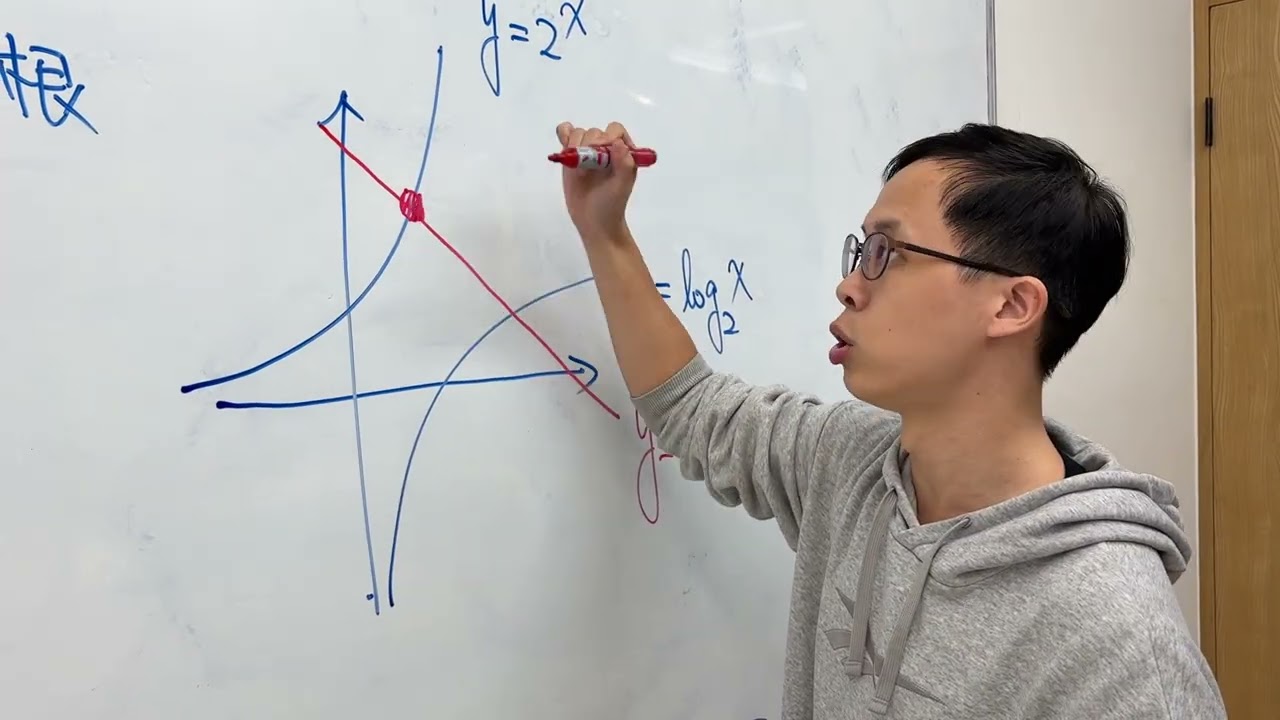 指對數函數對稱的應用