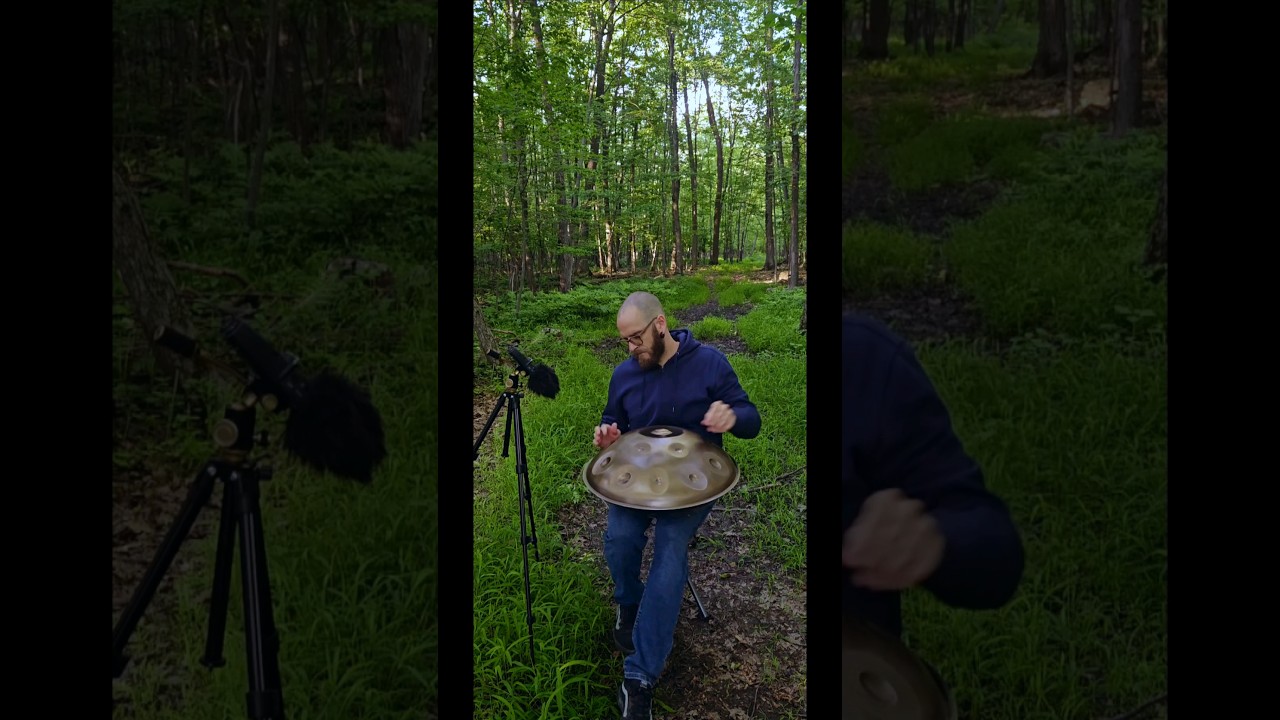 Handpan in nature with deers, butterflies and mosquitos 🌿🦌🦋🦟