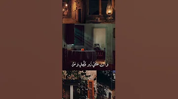 النقشبندي رحمه الله 