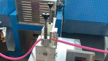 CANDID 3 color eraser extruding line