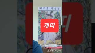 개띠 오늘의운세 2024년6월13일 목요일 운세 총운