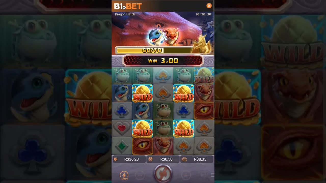 acordando a mamãe dragão no dragon hatch 📲👨🏾💻 #apostas #slots #apostasesportivas  #dragonhatch