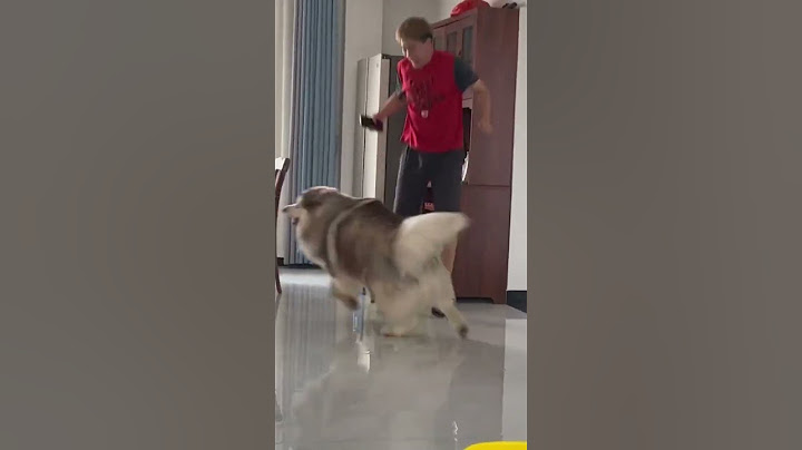 #阿拉斯加 什么叫做真正的言传身教……