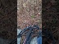 Waiting For That Right Deer To Walk By Ground Hunting In The Bucks Den