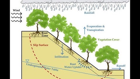 CASE STUDY 1: ỔN ĐỊNH MÁI DỐC KHI CHỊU ẢNH HƯỞNG CỦA MƯA - PHẦN MỀM PLAXIS 2D