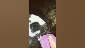 mình khát nước quá nhưng trong nước có con gì#shorts