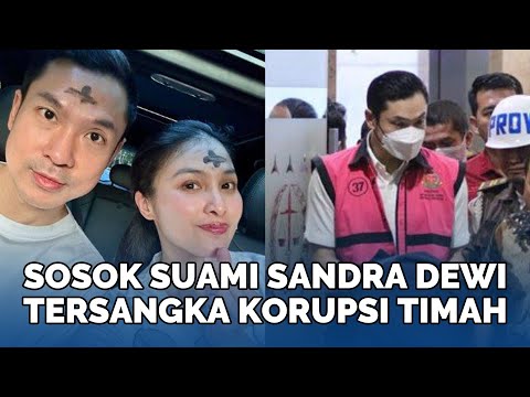 SOSOK Harvey Moeis, Suami Sandra Dewi Tersangka Baru Korupsi Timah, Pernah Belikan Anak Jet Pribadi