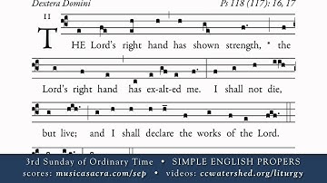 OFFERTORY • 3rd Sunday of Ordinary Time • SIMPLE ENGLISH PROPERS