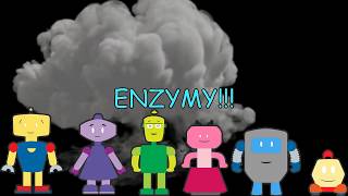 Enzymy - katalizatory reakcji