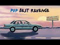 PUP Best Revenge Visualizer PUP Best Revenge Visualizer