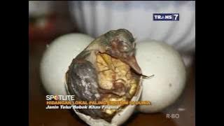 SPOTLITE TRANS 7 - THE WORLD'S MOST EXTREME LOCAL DISHES