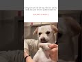 Youtube #memes #popular #viral #funnymemes #tweetreels #youtube #college
