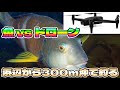 【ドローン釣り】300m沖に釣り餌を落としたら…日本未確認の激レア魚が釣れた！