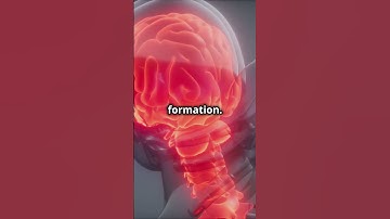 Brain Implants Could Restore Lost Memories 🧠🤯 #Science#Medicine #Innovation #Memory #Neurotechnology