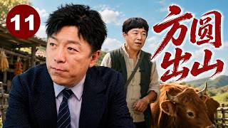 【都市励志剧】方园出山 11 | 男主内被妻子嫌弃，进城当全能男保姆，凭一身本事解决各种棘手难题