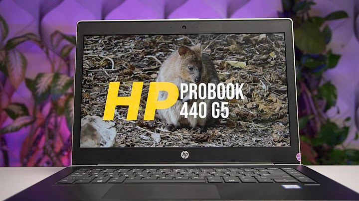 Hp probook 440 g5 đánh giá năm 2024