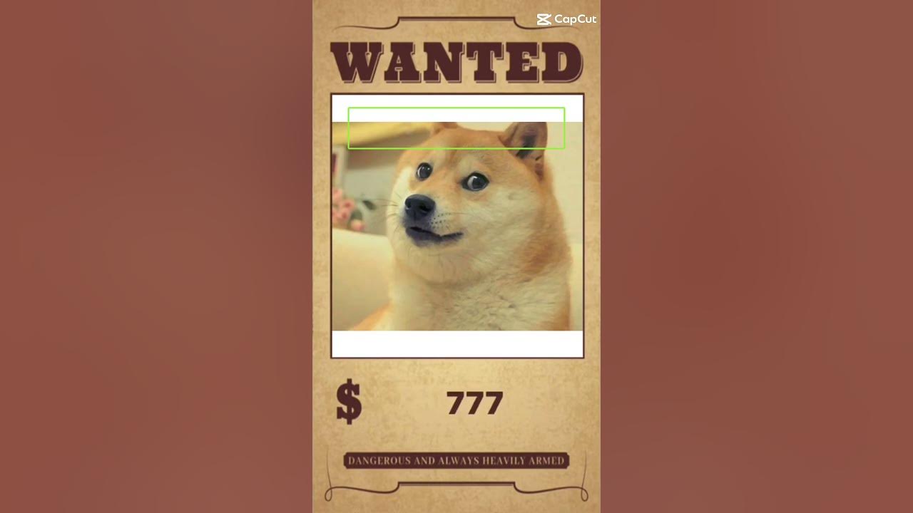 doge-is-worth-1-dollar-youtube