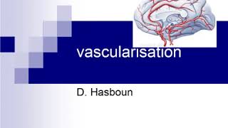 vascularisation cérébrale Pr Hasboun