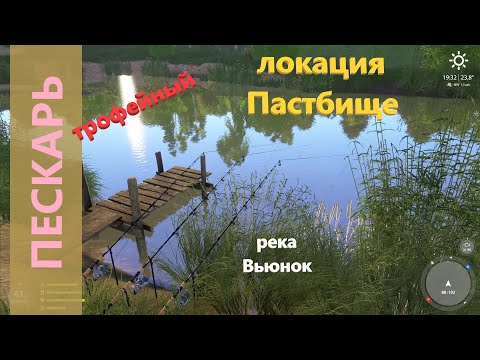 Русская рыбалка 4 - река Вьюнок - Пескарь трофейный у мосточка