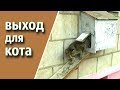 как сделать ВЫХОД КОТА ИЗ КВАРТИРЫ на 1 этаже