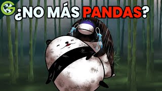 ¿Deberíamos dejar que los PANDAS se EXTINGAN? 🐼