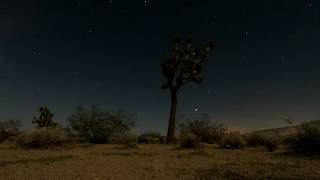 Night Sky in the moonlight Mar 26 2018 screenshot 3