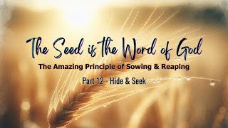 The Seed is the Word of God - Part 12 - Hide & Seek