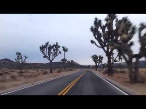 California Dreamin' on a Winter's Day in Joshua Tree National Park - California Dreamin' on a Winter's Day in Joshua Tree National Park