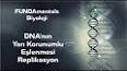 DNA Replikasyonu ile ilgili video