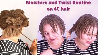 Moisture and Twist Routine on 4c Hair |Natural hair care for length retention