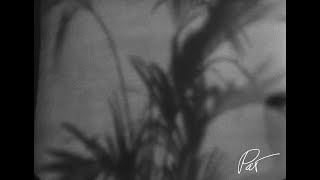 Watch Pat Boone Begin The Beguine video