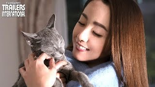 主演:沢尻エリカ × 猫:吉沢亮 × 監督:犬童一心 > 自分を人間だと思い込むロシアンブルーの猫が、 こじらせアラサ―女子に恋をす...