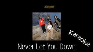 Trueblood - Never Let You Down (Karaoke Version) Resimi