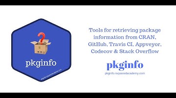 pkginfo Shiny App Demo