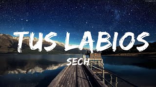 Sech - Tus Labios (Letras) | 30mins Chill Music