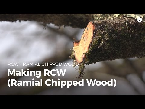 Making Rcw Ramial Chipped Wood 
