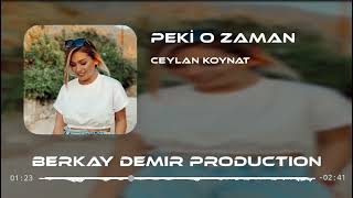 Ceylan Koynat - Peki O Zaman (Remix) Resimi