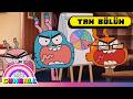 Yavru Köpek | SEZON 3 | TAM BÖLÜM | Gumball | @cartoonnetworkturkiye