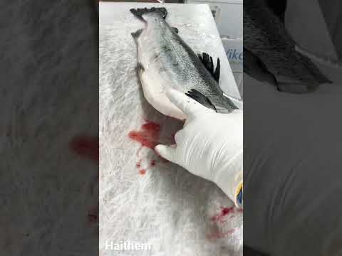 Lax #sverige #fisk